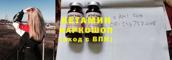 прущие грибы Аркадак