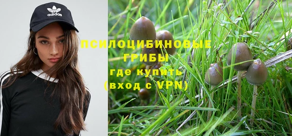 прущий лед Алексеевка