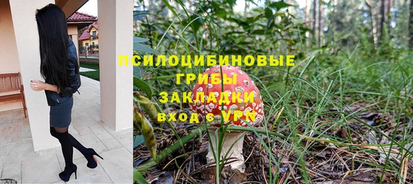 прущий лед Алексеевка