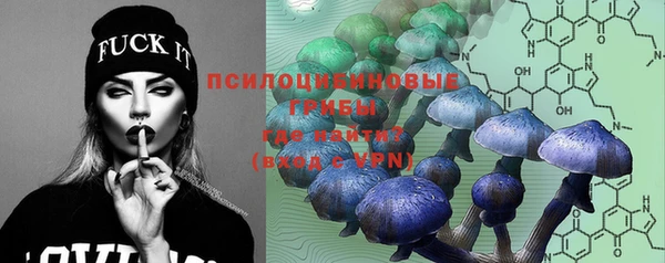 прущий лед Алексеевка